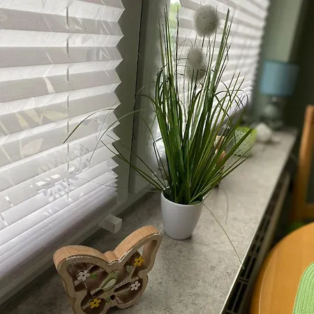 Iris Hinrichs 95150 Apartment Rhauderfehn